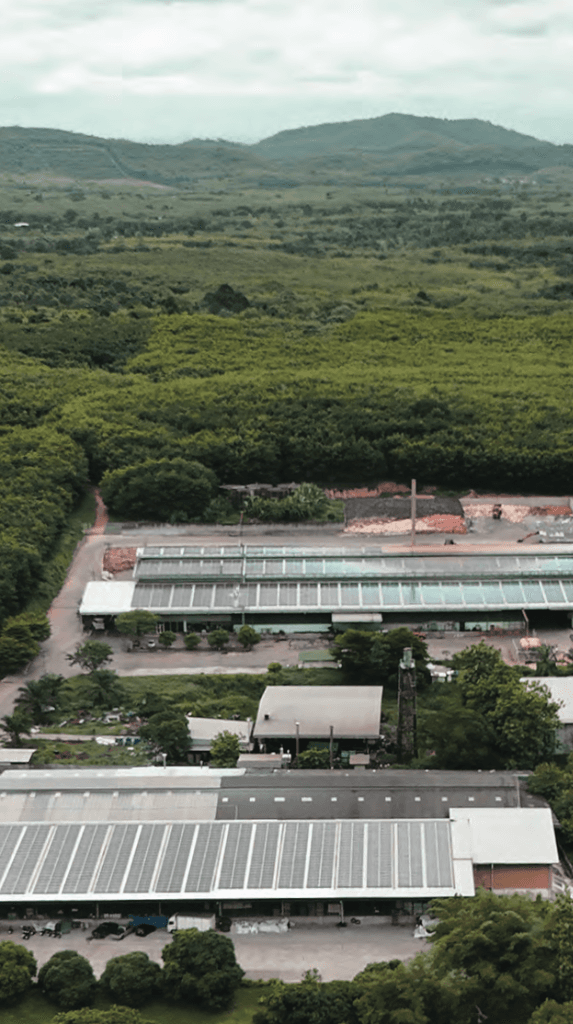 Aerial view of Maruey Rubber Factory